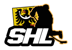 VHK Rytíři Nýdek - Silesians Havířov 1