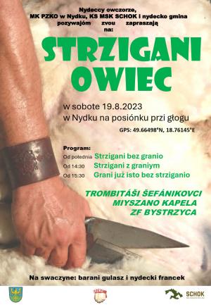 stříhání ovcí
