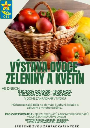 výstava