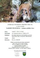 TAJEMNÝ ŽIVOT RYSA – výzkum a příběhy z lesa